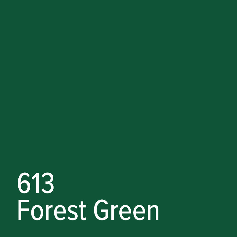 613 Forest Green - Adhesive Vinyl | Oracal 651